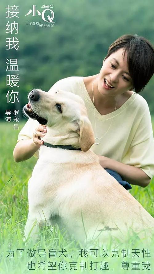 买个假的阿肯色州ID